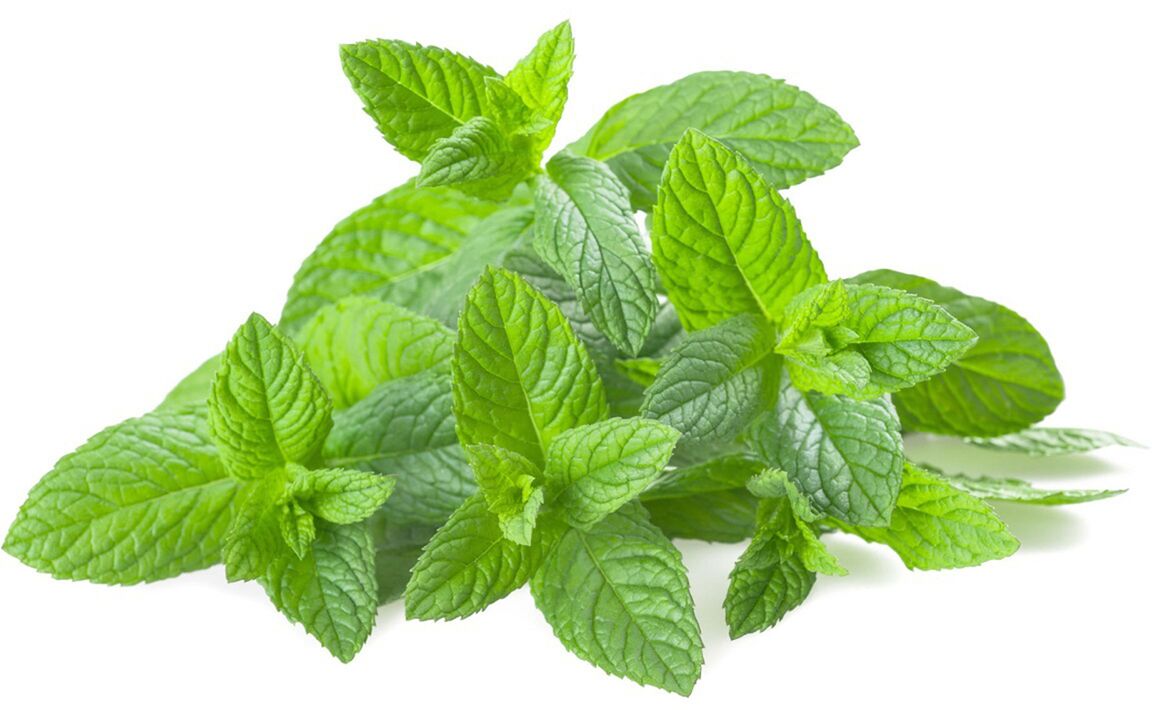 Mint oil in ZXCVBNMQWER