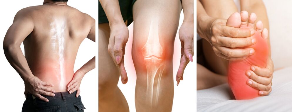 Treatment of pain in the Hondrolife joints
