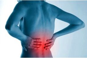 Site of spinal osteochondrosis